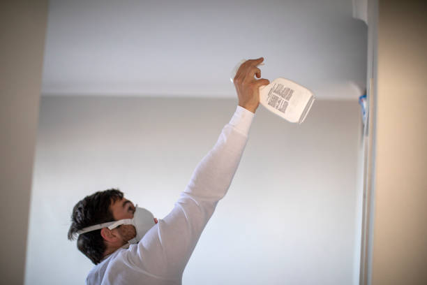 Best Black Mold Removal  in Clarkston Heights Vineland, WA