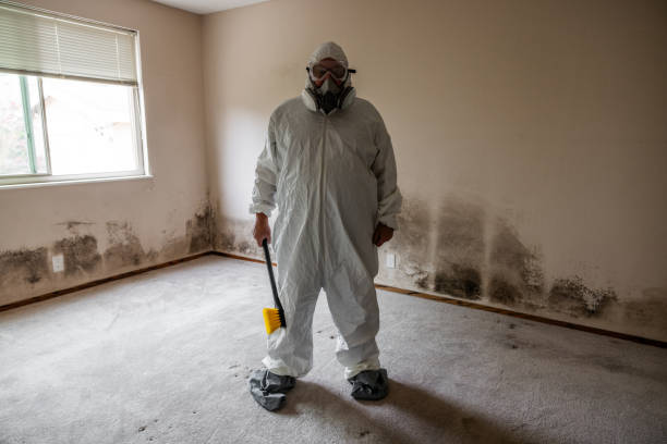 Best Fast Mold Removal  in Clarkston Heights Vineland, WA